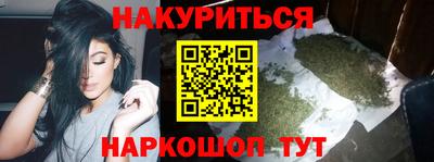 прущие крисы Бийск