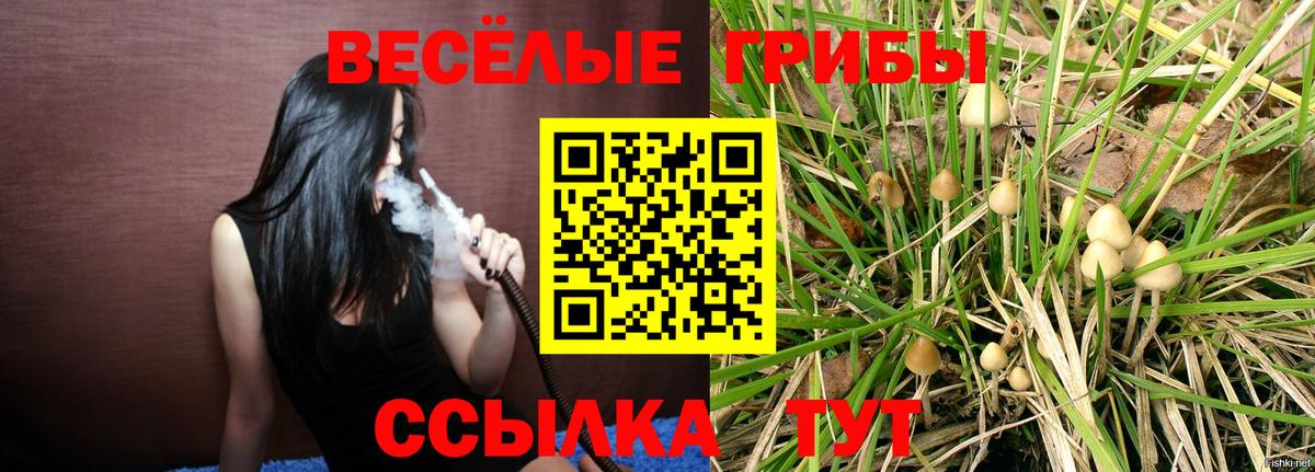 Псилоцибиновые грибы MAGIC MUSHROOMS  Вход с VPN  Клин 